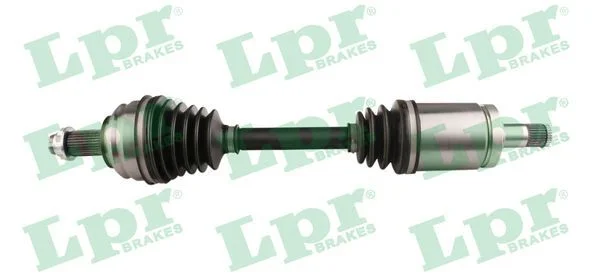 Pusašis LPR DS52211