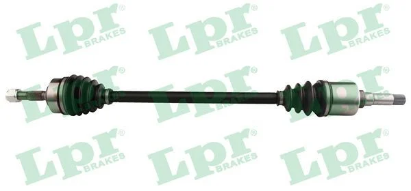 Pusašis LPR DS52291