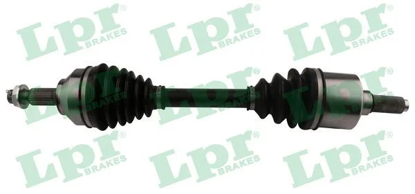 Pusašis LPR DS60194