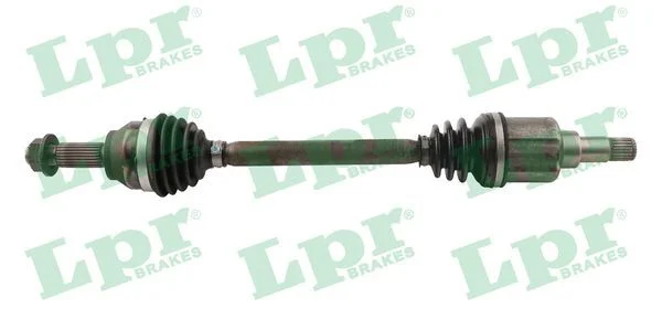 Pusašis LPR DS21134