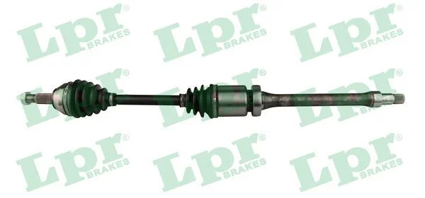 Pusašis LPR DS21135