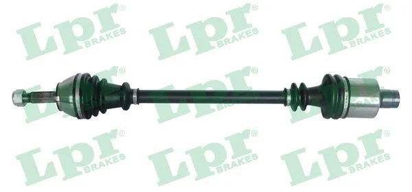 Pusašis LPR DS39133