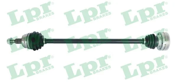 Pusašis LPR DS51066