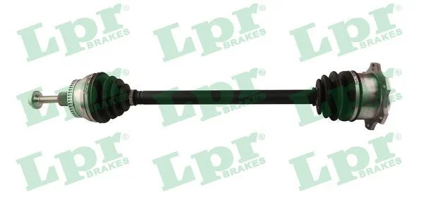 Pusašis LPR DS52020