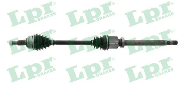 Pusašis LPR DS52451