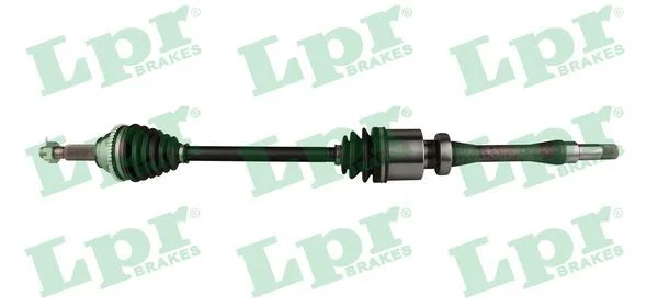 Pusašis LPR DS52535