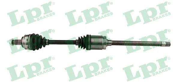 Pusašis LPR DS52551