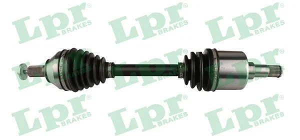 Pusašis LPR DS52571