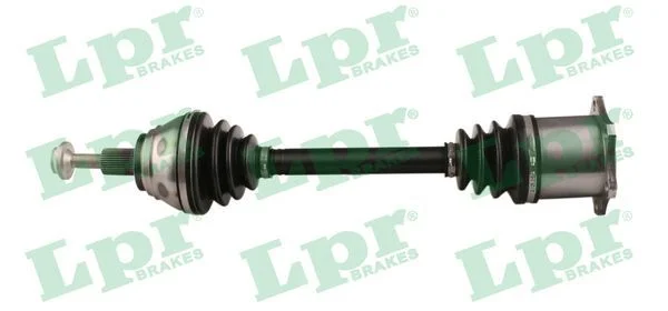 Pusašis LPR DS52629