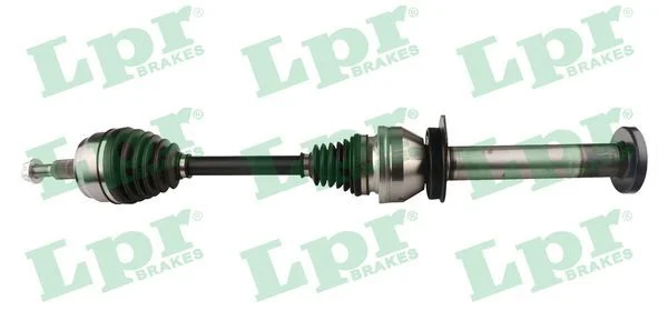 Pusašis LPR DS52631