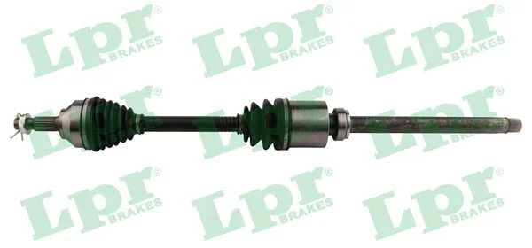 Pusašis LPR DS60200