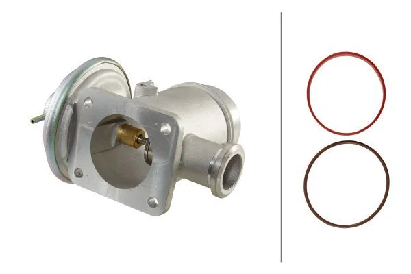 EGR Valve HELLA 6NU 010 171-691