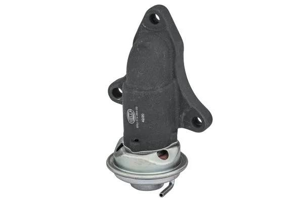 EGR ventil HELLA 6NU 014 864-581