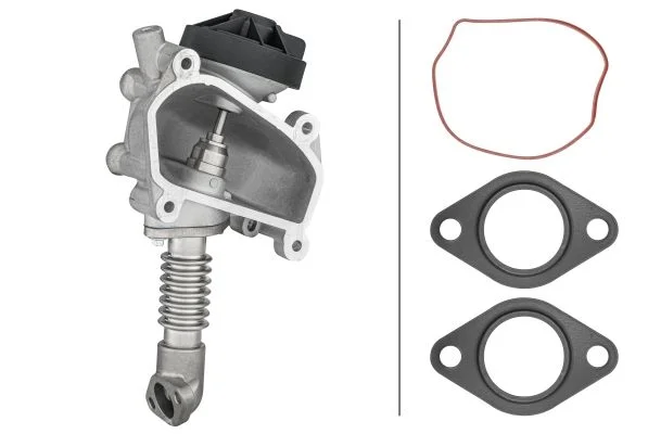 EGR ventil HELLA 6NU 014 864-641