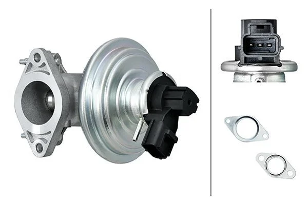 EGR Valve HELLA 6NU 014 865-171