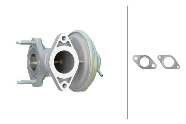 EGR Valve HELLA 6NU 014 865-541