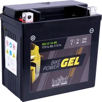 IG CTX14-BS INTACT IG CTX14-BS