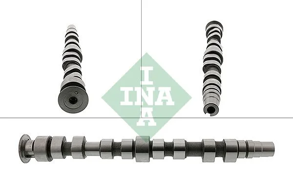 Camshaft INA 428 0169 10