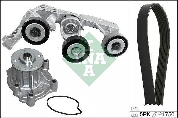 Water Pump + V-ribbed Belt Kit INA 529 0081 31