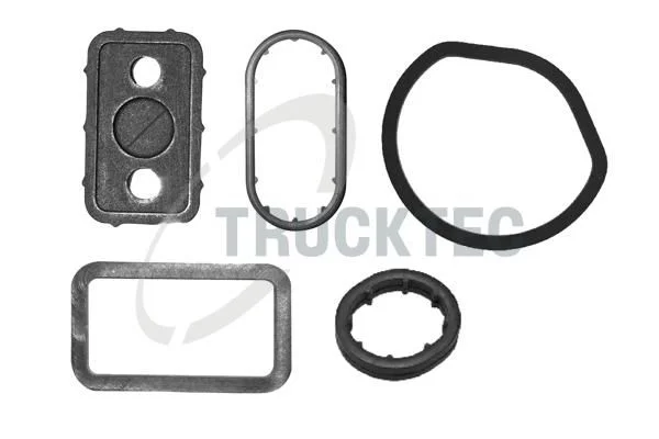 Gasket Kit, timing case TRUCKTEC 02.43.300