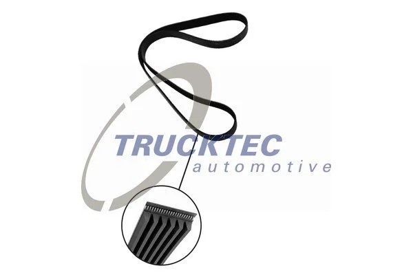 V-ribbed Belt TRUCKTEC AUTOMOTIVE 08.19.082