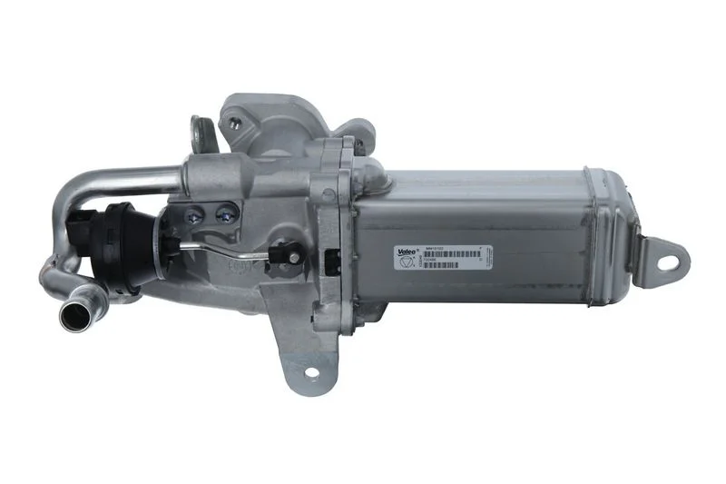 ERG modulis valeo 700486