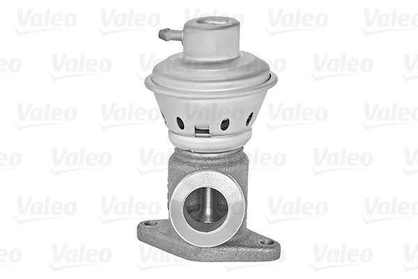 EGR Valve VALEO 700401