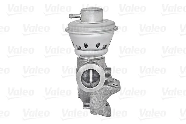 EGR Valve VALEO 700406