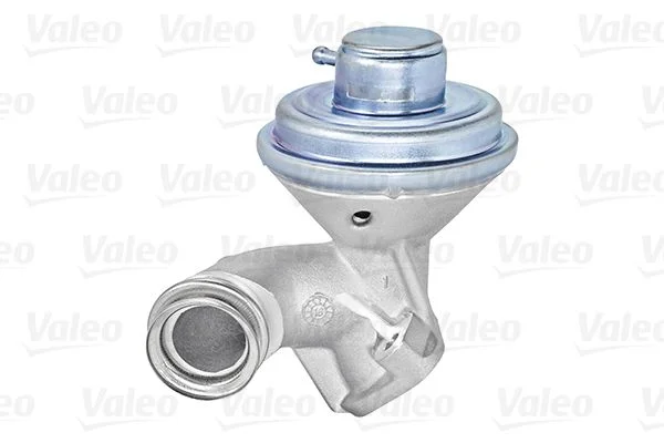EGR ventil VALEO 700407