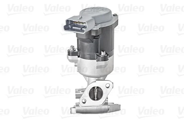 ERG vožtuvas VALEO 700411
