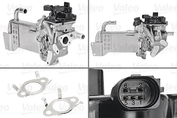 ERG modulis VALEO 700436