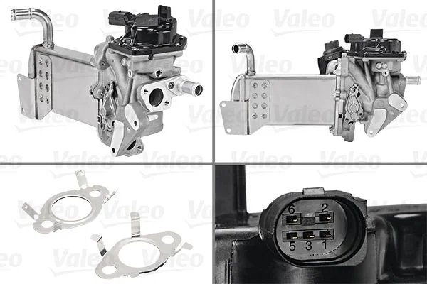ERG modulis VALEO 700438