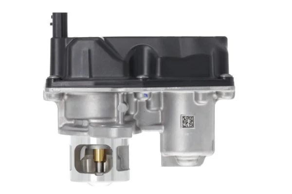 EGR Valve VALEO 700477