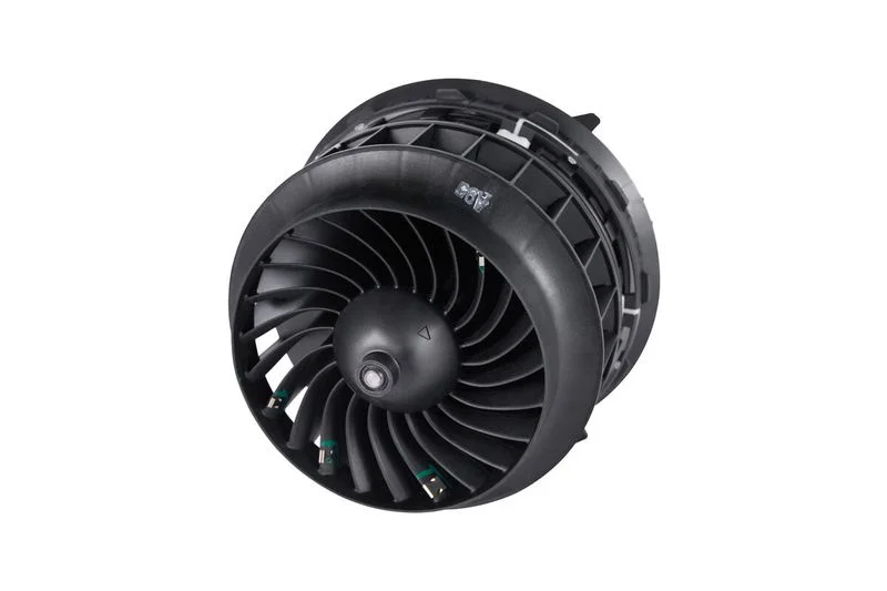 Vidaus pūtiklis VALEO 715090