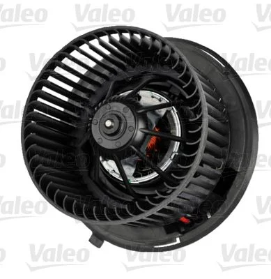 Vidaus pūtiklis VALEO 715239