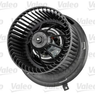 Vidaus pūtiklis VALEO 715243