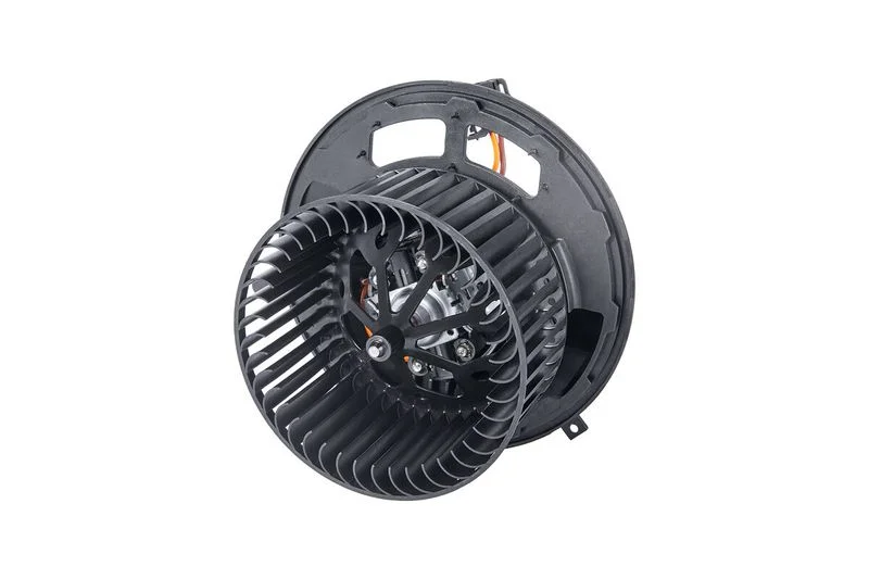 Vidaus pūtiklis VALEO 814912
