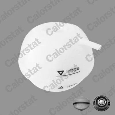 Expansion Tank, coolant CALORSTAT by Vernet ET0001C1