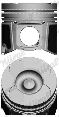 Piston NÜRAL 87-137507-10