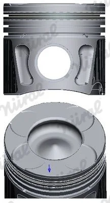 Piest NÜRAL 87-450500-00