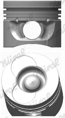 Piston NÜRAL 87-743107-00