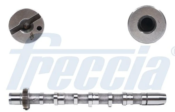 Camshaft FRECCIA CM05-2189