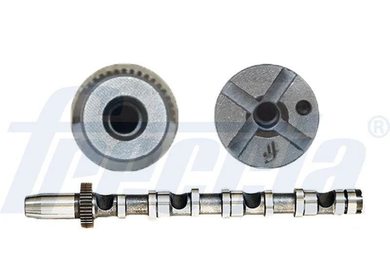 Camshaft FRECCIA CM05-2190