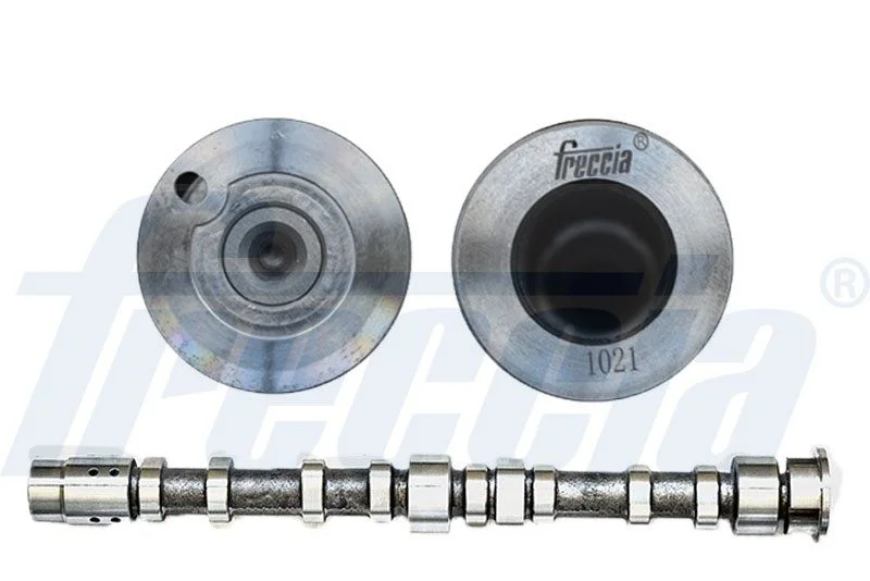 Camshaft FRECCIA CM05-2274