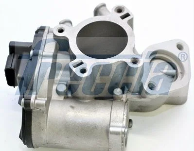 EGR ventil FRECCIA EGR12-200