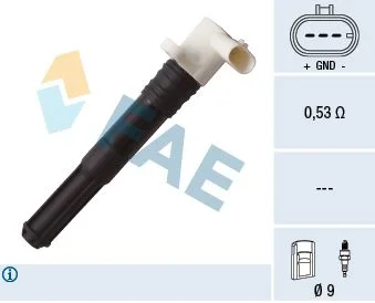 Ritė, uždegimas FAE 80266