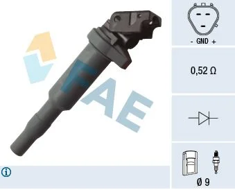 Ritė, uždegimas FAE 80281