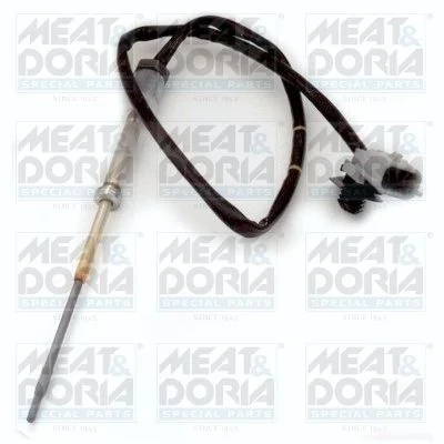 Sensor, exhaust gas temperature MEAT & DORIA 12172