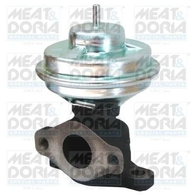 EGR Valve MEAT & DORIA 88132
