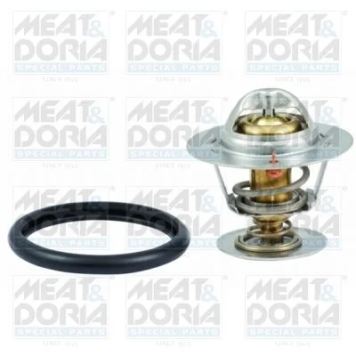 Termostatas, aušinimo skystis MEAT & DORIA 92323